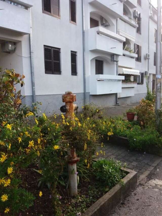 Апартаменты Apartment Knez Kotorska Тиват-22